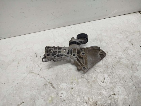 Renault Scenic Megane 2 Aks Taşıyıcı Mil Yatağı 8200187335 8200684534 SP (AA120)