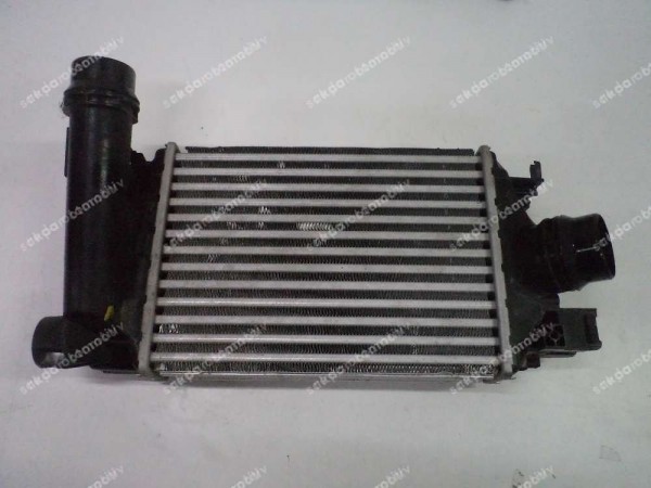 Renault Clio 5 Taliant Dacia Sandero Turbo Radyatörü Orj 144968819R CP (HD-120)