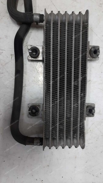 Renault Clio 5 Yağ Soğutucu Borusu / Radyatör 216192657R CP (HE-120)