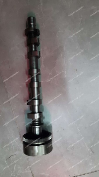 Renault Clio 4 Kam Mil Defazörü Eksantrik Mili 130257094R SP (CA-120)