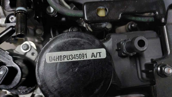 Hyundai Staria 2.2 Motor Komple Dolu [194L1-2FU01] [D4HBPU] [285F2-2FU01] SP YP
